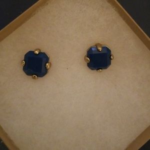 Cobalt stud earrings